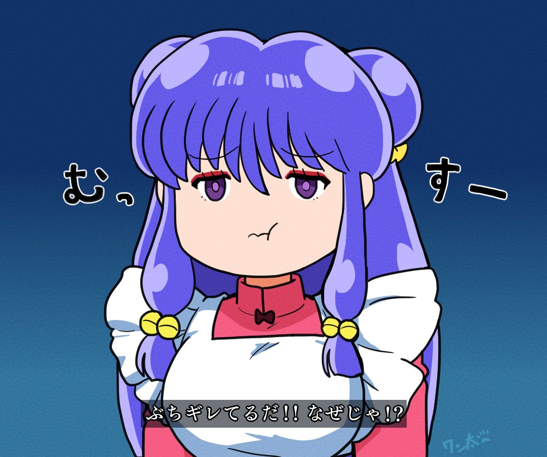 早乙女乱馬 「よくぞ武の神髄まで辿り着いた。お主に教えることはもう何もない。 」|ワン太🐾のイラスト