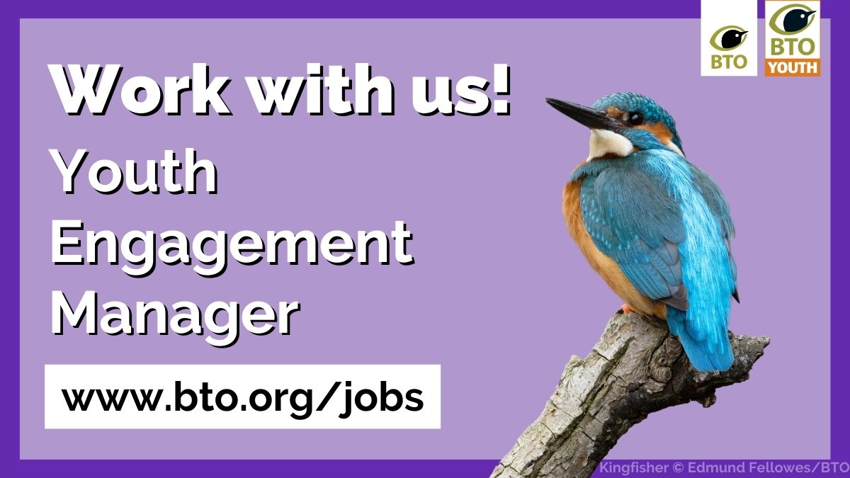 Job alert! There’s an exciting opportunity to join BTO as Youth Engagement Manager. 😀 Discover more and apply 👉 bit.ly/YEManager Closing date for applications: 10 April