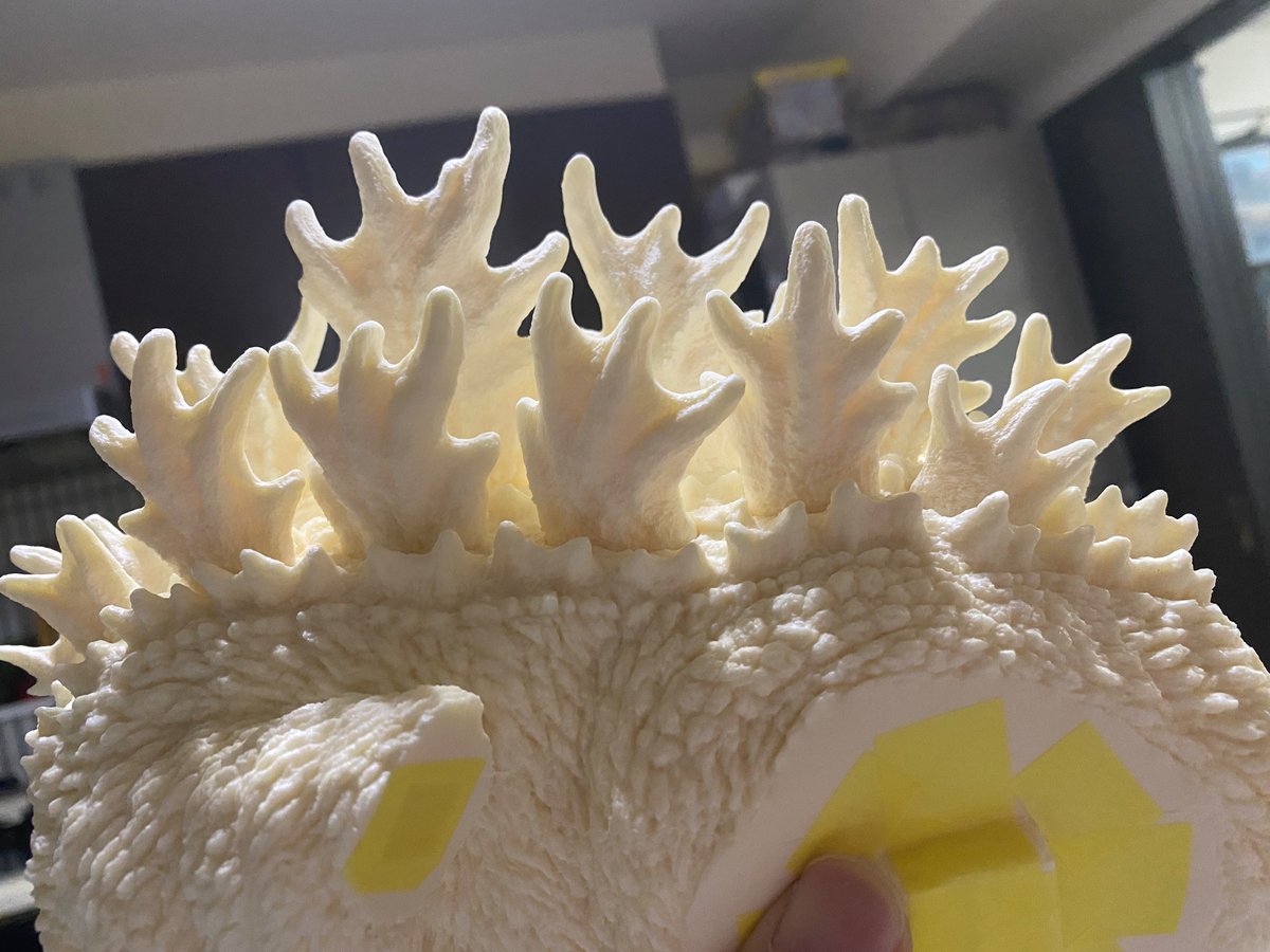 2001_gmk's tweet photo. さぁ頑張るぞい https://t.co/J2N0ePy29x
