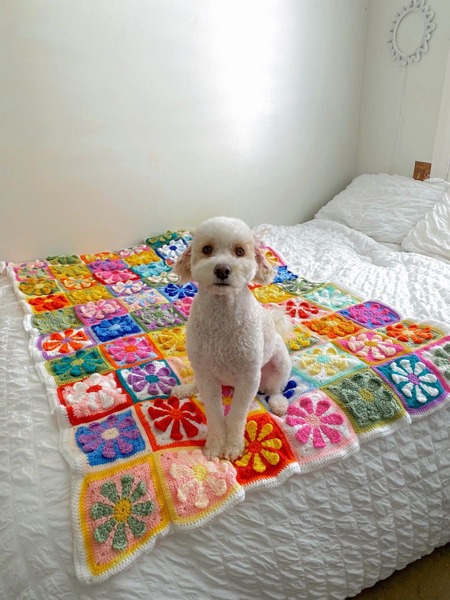 granny crochet daisies blanket