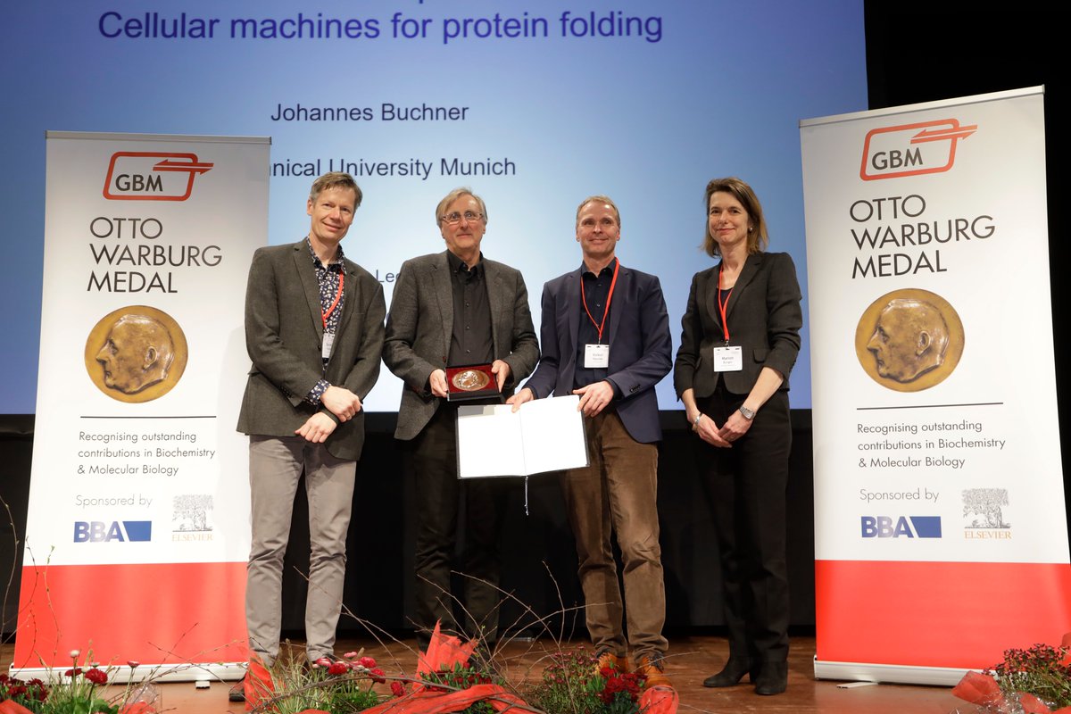 We are excited and proud to share that Johannes received the prestigious Otto Warburg Medal 2024 in recognition for our pioneering work on protein structure formation and the role of chaperones from the @GBM_eV. Of course we are especially looking forward to the upcoming party!!