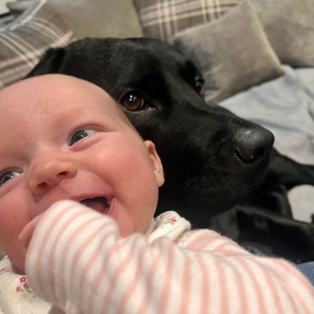 thompsonterryox's tweet photo. Did you know that 57% of people say having a best friend at work makes work more enjoyable and 22% feel more productive when working with friends 📈🧑‍🤝‍🧑

Olivia and Archie in the T&amp;T office have certainly become best friends for life!!

#workfriend #productivity #recruitment https://t.co/IfiFvovzAr
