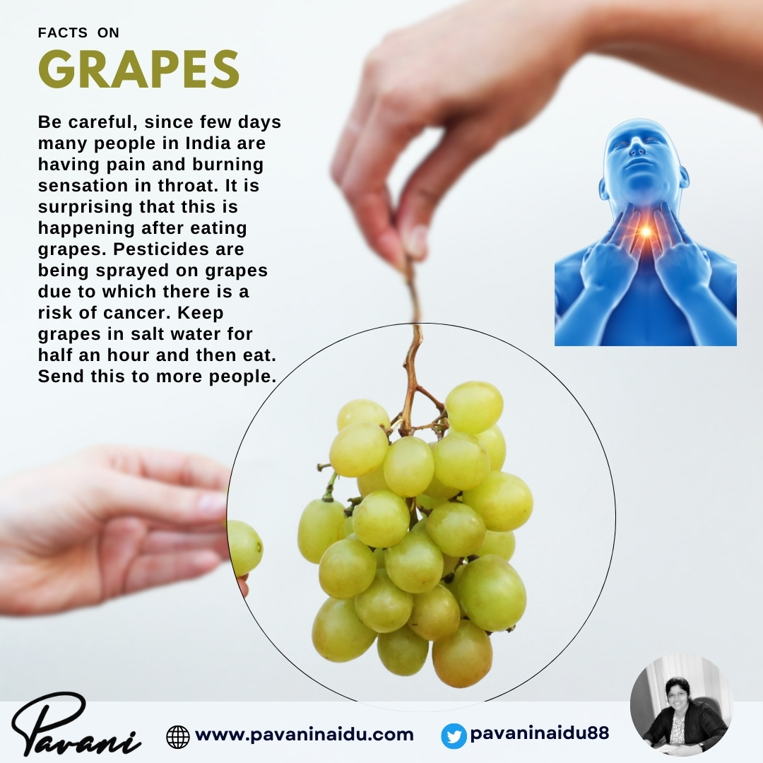 🚨 Urgent Alert: 🚨 Beware! In recent days, numerous individuals across India are experiencing discomfort and burning sensations in their throats. Shockingly, this occurs after consuming grapes. Pesticide contamination on grapes poses a grave risk of cancer. Take precautionary…