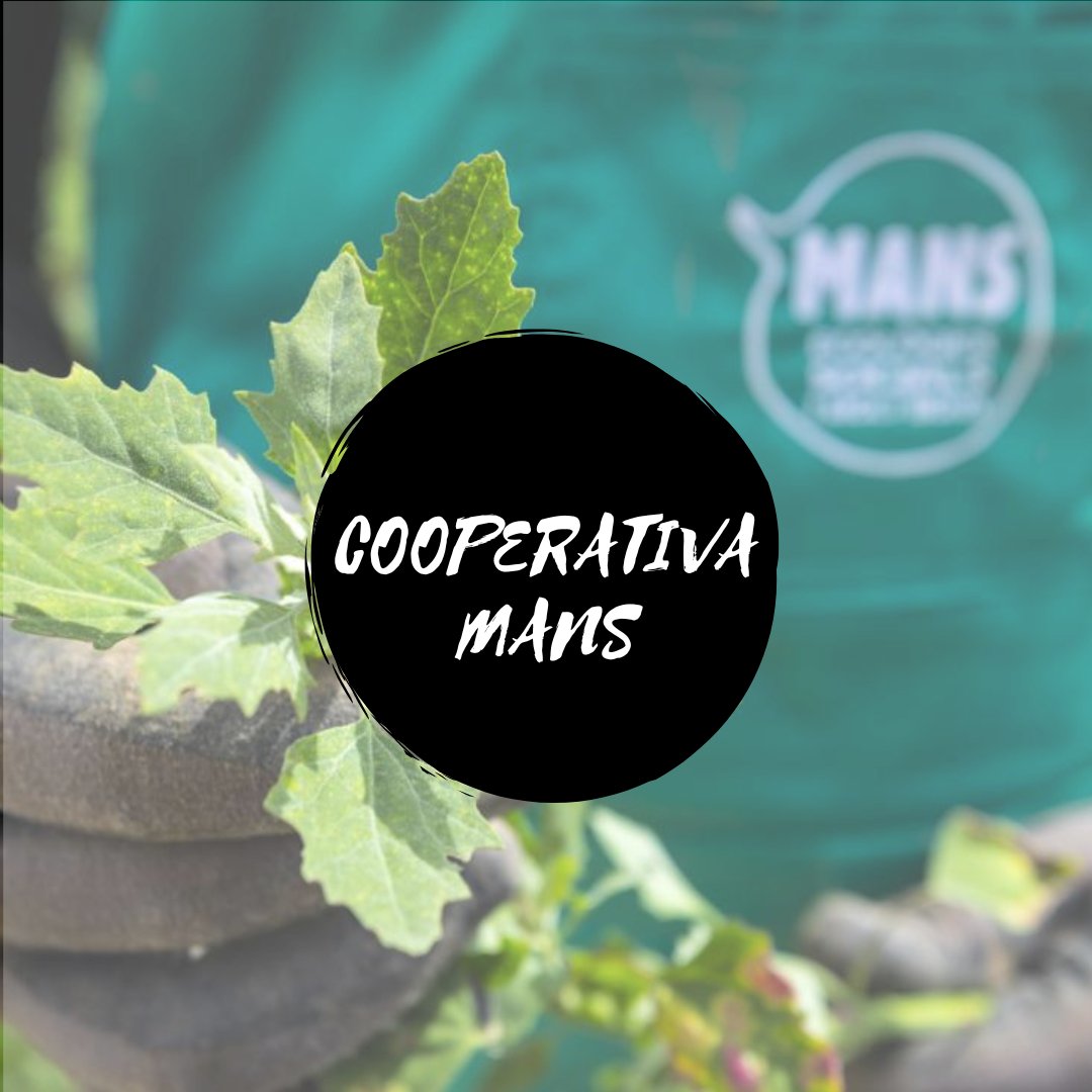 MANS_Ecologic's tweet photo. Encara no ens coneixes?🧺
Som la #CooperativaMANS de la @PedreraFundacio.

🤝Col·laborem amb el sector agrícola per produir i comercialitzar fruita🍎 i verdura🥬 ecològica generant ocupació per a persones en risc d'exclusió social 👥.

#MANSEcològic
#ProductesMANS #PersonesMANS https://t.co/VCKoO5oLqs