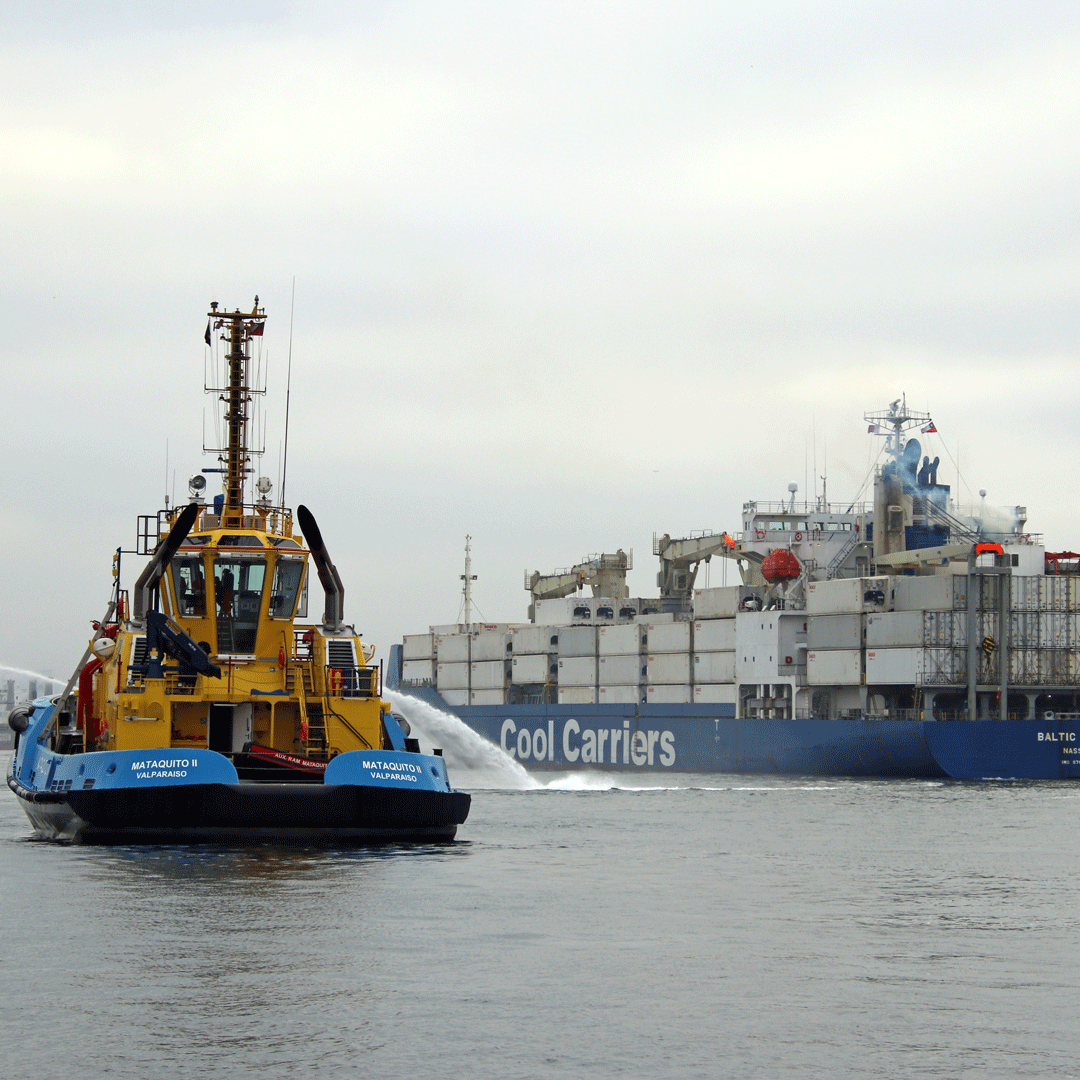 Coolcarriescl's tweet photo. Baltic Spirit USEC Marketing Order, 5594 pallets under deck + 268 containers. https://t.co/RvXesgrvKu
