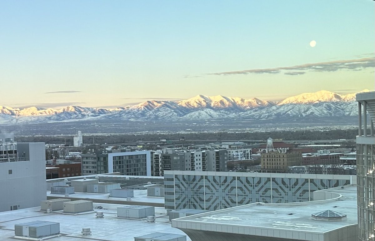 Dr. Arthur Brooks tweet media