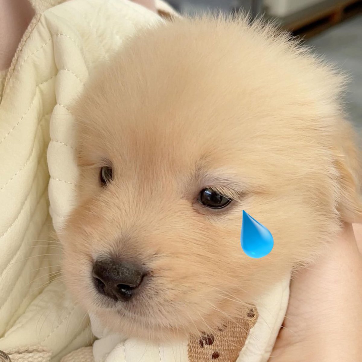 takemybear's tweet image. งอนเหรอคะบิบิ๋                                ป่าวคับ(งอน)