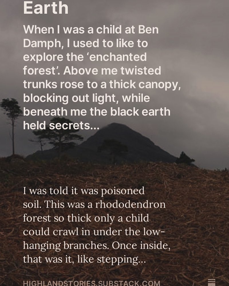 Second Substack in our elemental series #Earth Sign up to read… #highlandstories #earth #soil #rhododendrons #reforestation