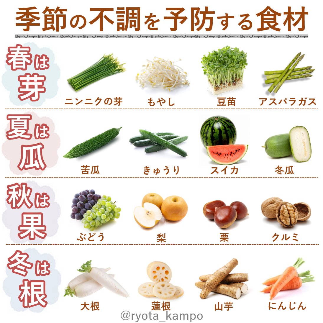 旬の食材 春・夏・秋・冬の野菜 ハーブ&スパイス図鑑 旬の食材