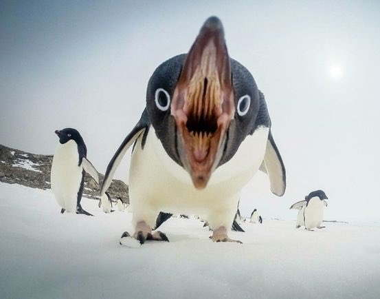 #갤러리의_14번째_사진과_싸워라
내가질거같은데