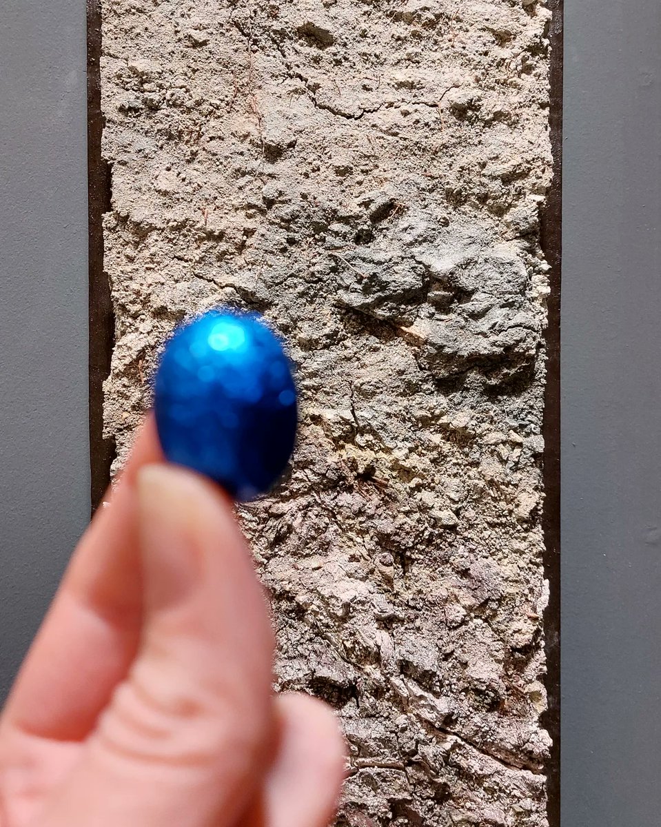 WorldSoilMuseum's tweet photo. Like easter eggs, soils exist in a wide range of colours. Come to the museum and find the perfect match for your favourite chocolate egg. If you look close enough you will even find some colours you might not expect, like blue! 🪺
#worldsoilmuseum #soils #munsell #easteregghunt https://t.co/JE6YfCGrYN
