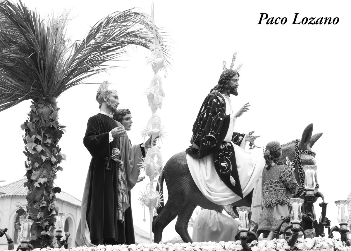 PacoLozano97's tweet photo. Me estreno con las fotos cofrades del #DomingoDeRamos en esta #SemanaSantaEcija2024 de mi querida ciudad @Ecija_Sevilla https://t.co/xnFlxD6mGj