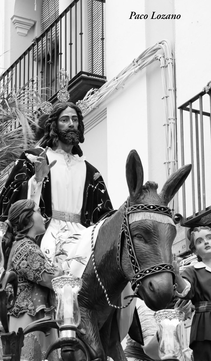 PacoLozano97's tweet photo. Me estreno con las fotos cofrades del #DomingoDeRamos en esta #SemanaSantaEcija2024 de mi querida ciudad @Ecija_Sevilla https://t.co/xnFlxD6mGj