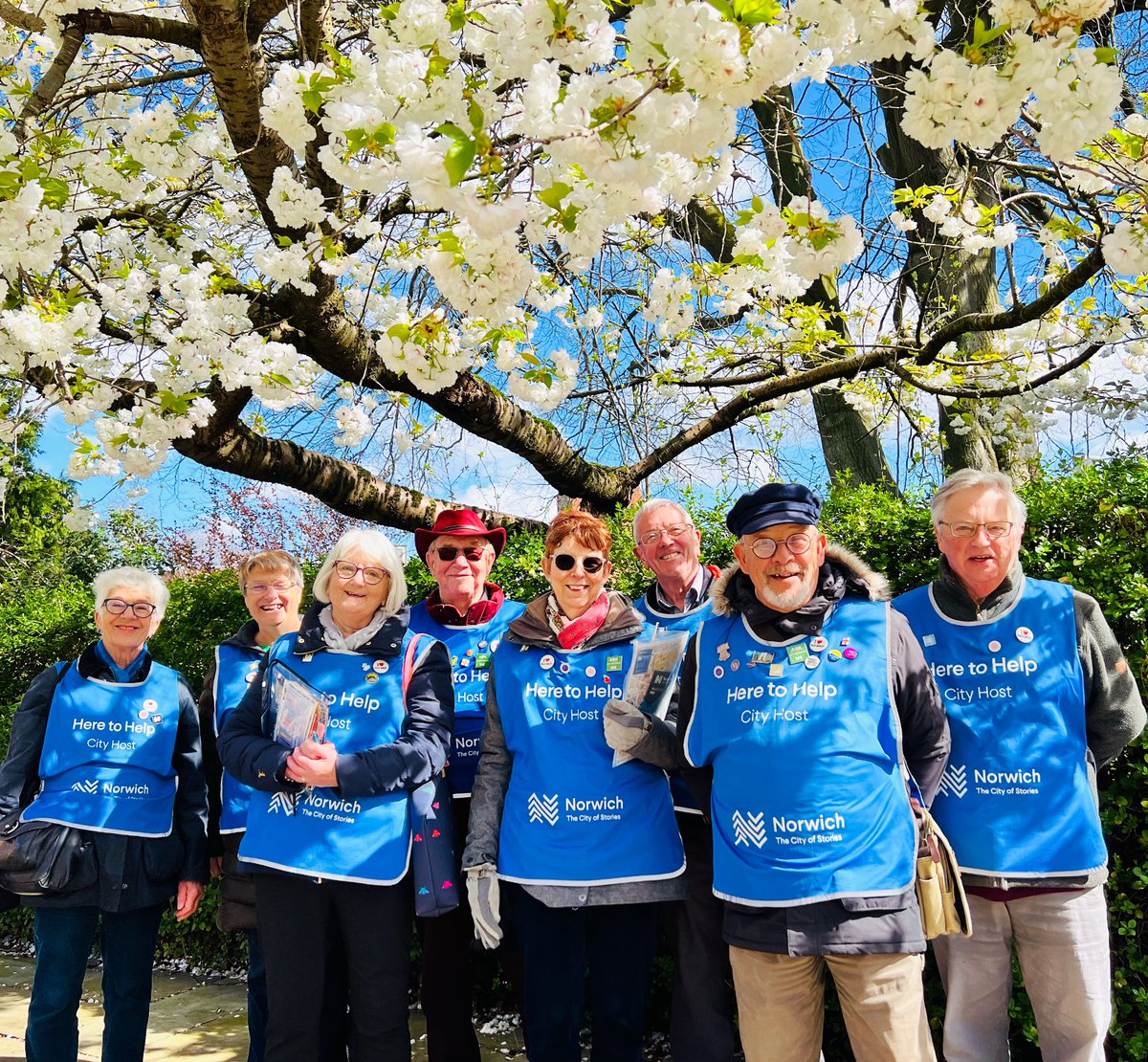 Spring has arrived 👍🌼🌷🌸
@VisitNorwich @NorwichBIDUK 
#norwich #cityofstories #cityhosts #volunteers #heretohelp #Blossom #SpringDay