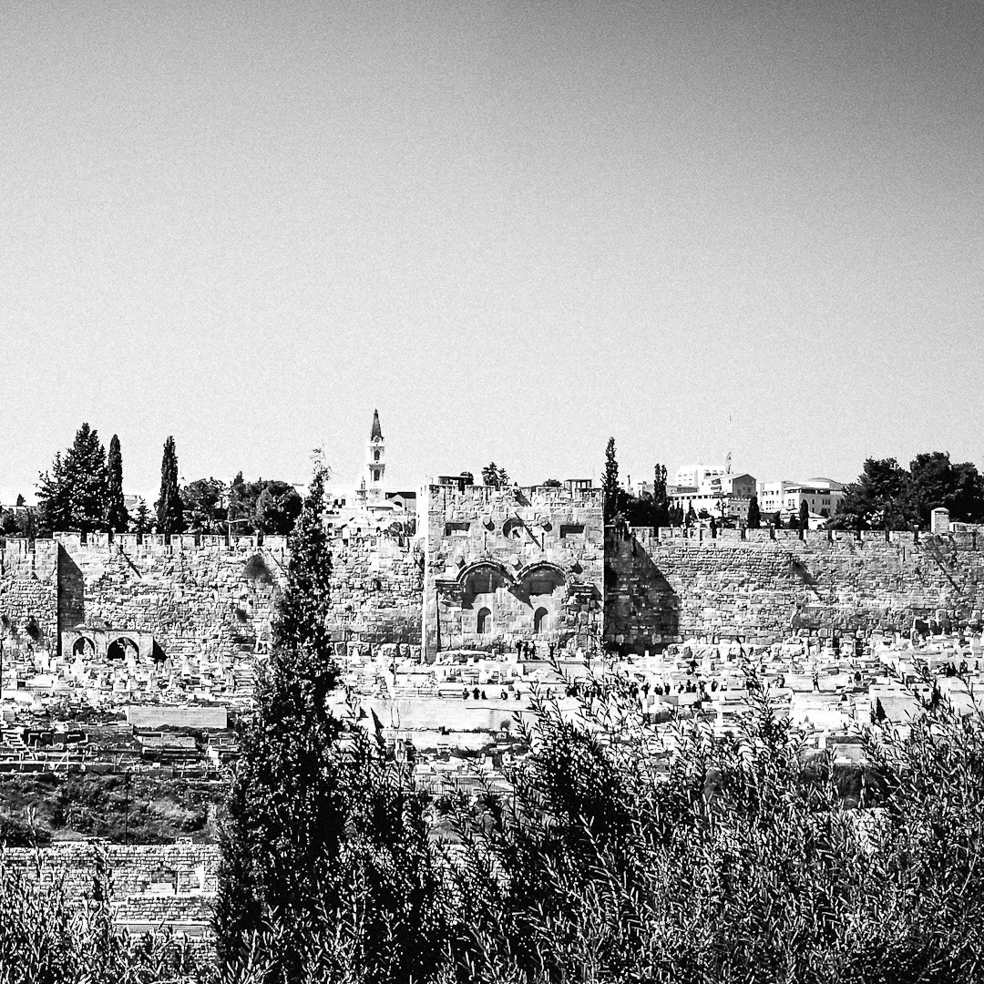 📍Mount of Olives and Dome of the Rock, Old City of East Jerusalem, State of Israel. 

#bnwcommunity #bnw_insta #monochrome_lovers  #leicaphotos #jerusalemoftheday #mountofolives #leicaphotography #domeoftherock 

Click to view and follow on IG ➡️
 instagram.com/p/C5BQpDpyQVt/…