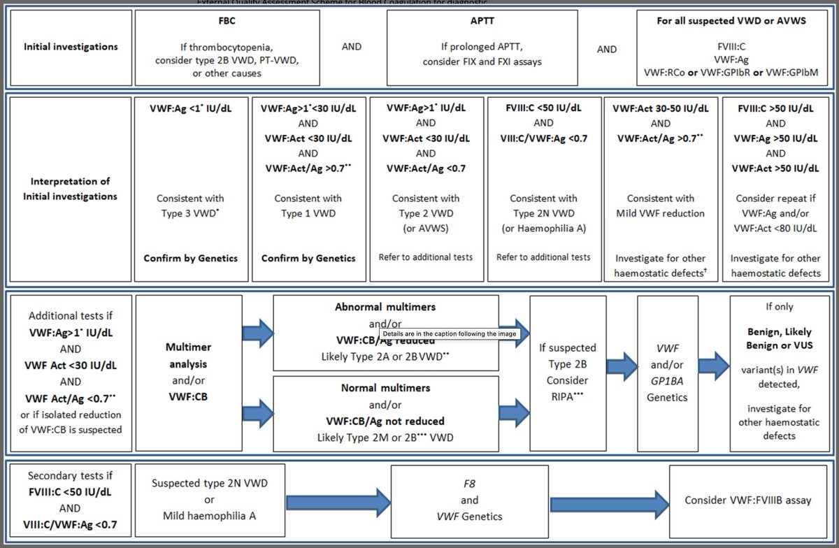 Michael Makris (@profmakris) on Twitter photo Comprehensive, high quality guideline on the diagnosis and monitoring of von Willebrand disease (#VWD) published in <a href="/BrJHaem/">British Journal of Haematology</a>. Free PDF. tinyurl.com/866h8634 Comprehensive, high quality guideline on the diagnosis and monitoring of von Willebrand disease (#VWD) published in <a href="/BrJHaem/">British Journal of Haematology</a>. Free PDF. tinyurl.com/866h8634