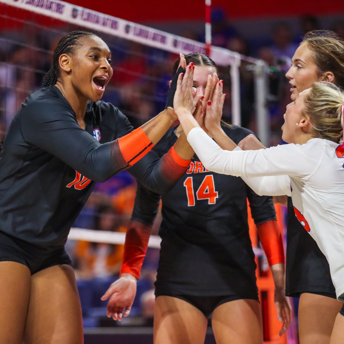 GatorsVB tweet picture