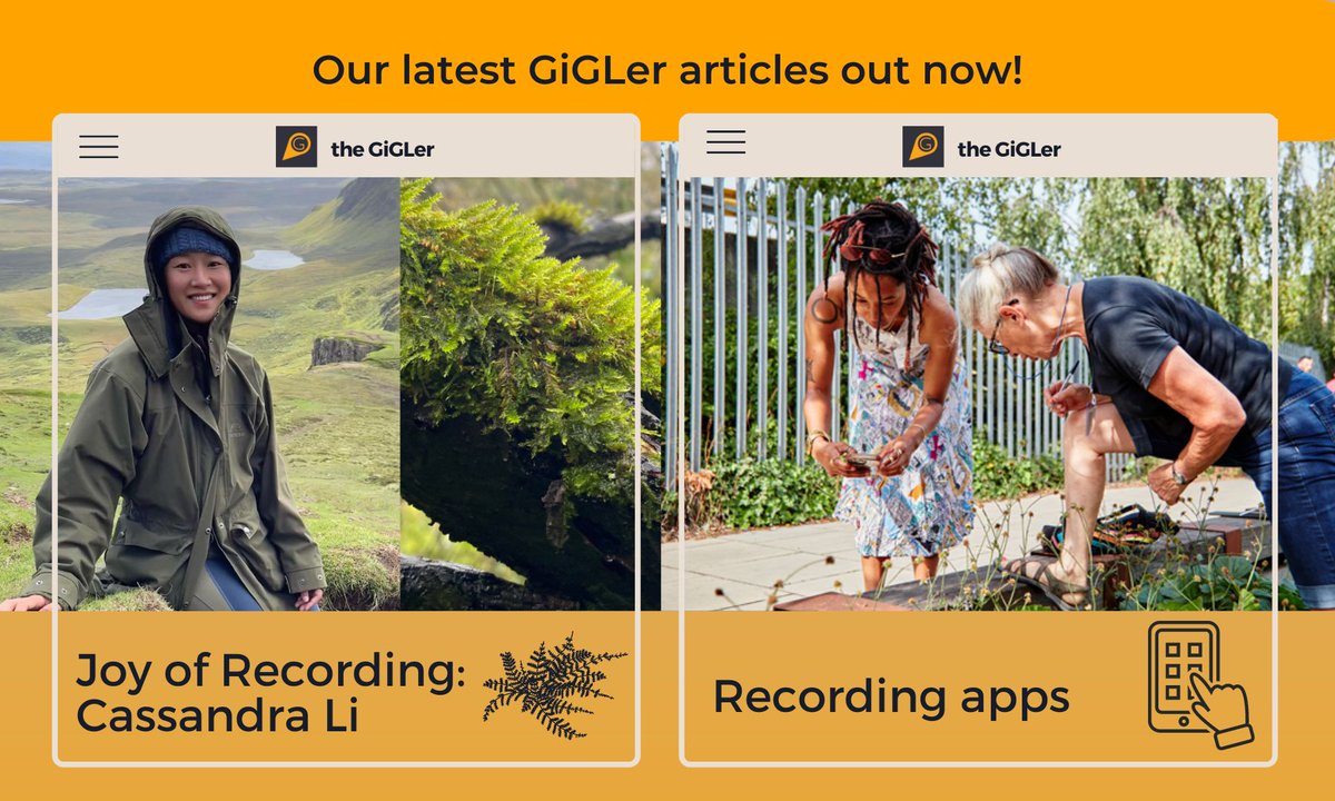 Read our latest GiGLer articles! Cassandra Li explores the diverse bryoflora (mosses, liverworts & hornworts) right at our doorstep, while our Community Officer, Victoria, introduces the plethora of recording apps at our fingertips📱🌿 Find out more👉 buff.ly/48ncHMK