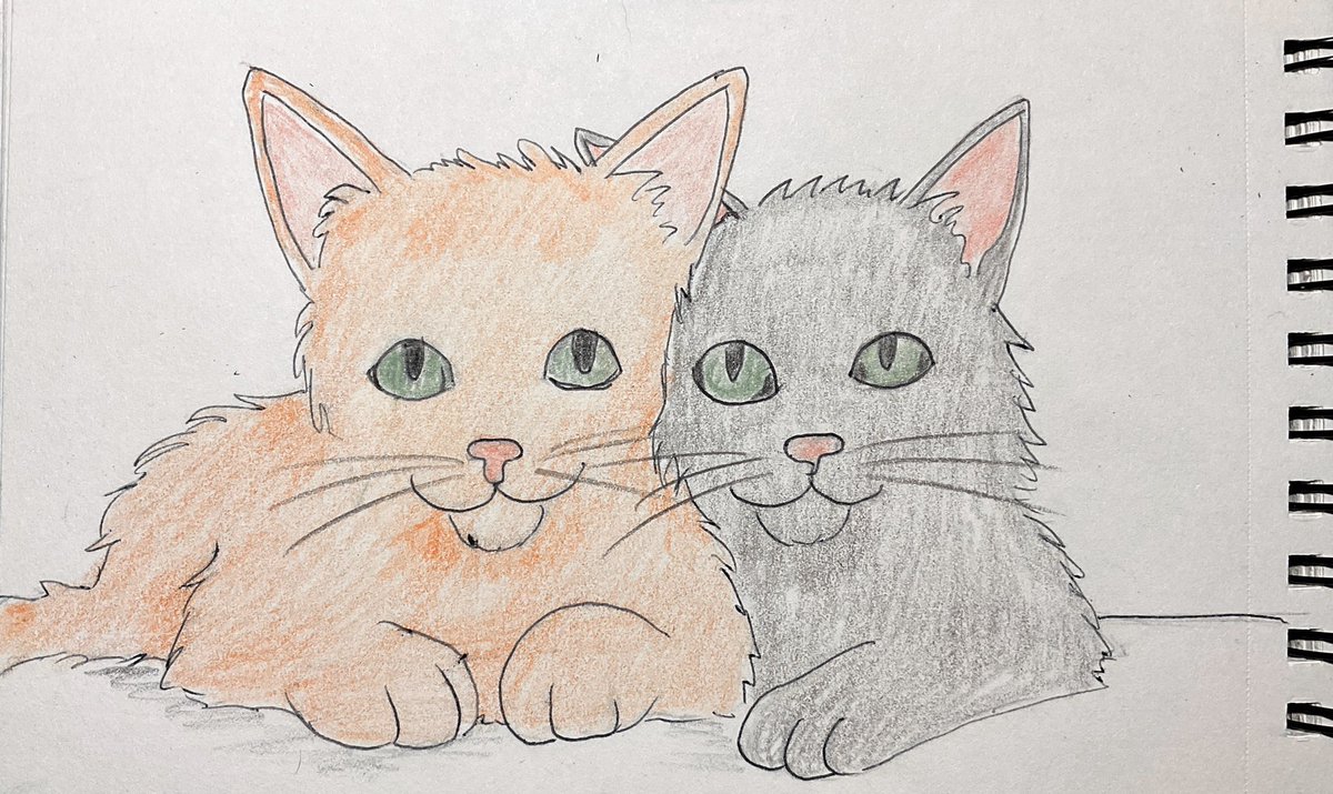 hermioink's tweet photo. #cats
#kittens
#animals
#Drawings
#Hermio https://t.co/dvNaUAdI8X