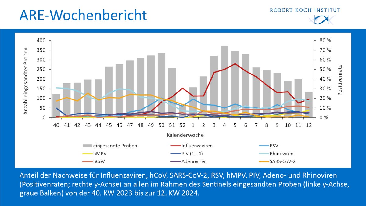 🆕#Wochenbericht zu #ARE (12. Kalenderwoche) 🔗 influenza.rki.de/Wochenberichte… 🔴Rückgang der Influenza-Erkrankungen hat sich nicht fortgesetzt. Aktuell zirkulieren vor allem Influenza B-Viren. Ende der #Grippewelle deutet sich aber an. 🔵#RSV-Welle endete mit der 10. Kalenderwoche.