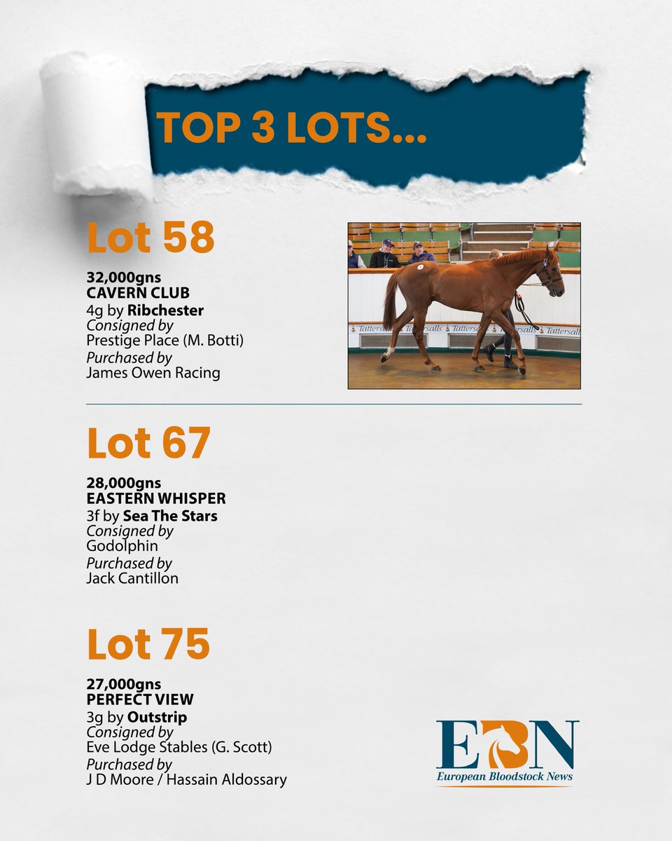 🔶 At the end of the @Tattersalls1766 March Sale the Top Lots are... 👇 🌟 Lot 58 CAVERN CLUB - consigned by @MarcoBotti and sold to @JPOwenRacing for 32,000gns. 📰 Full sales day report in tomorrow's EBN #ReadAllAboutIt