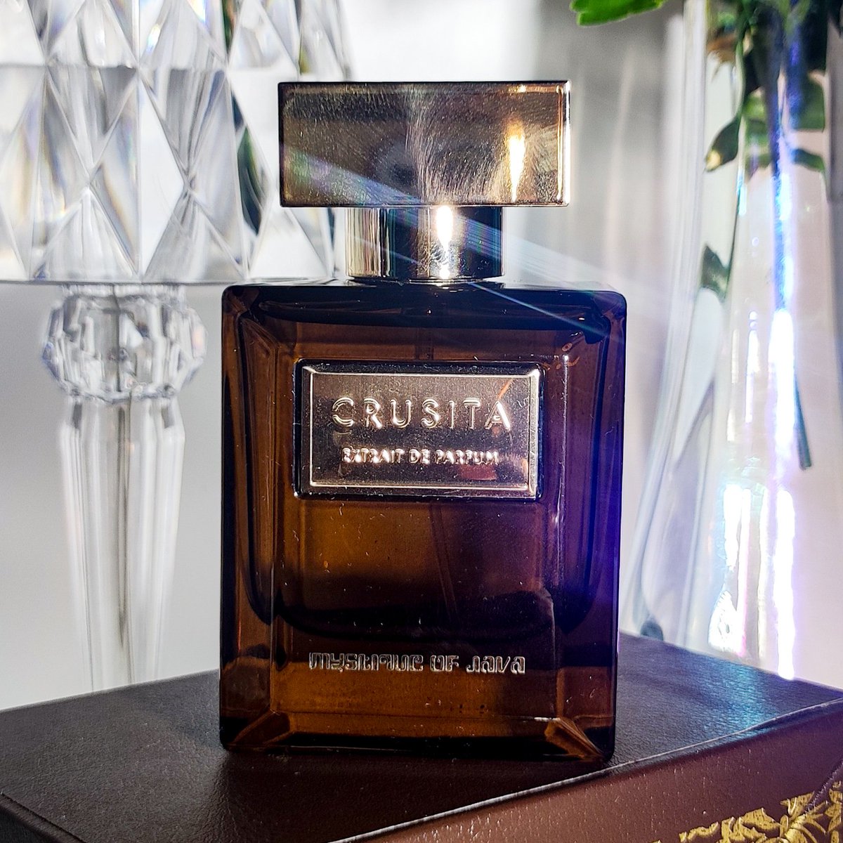 muslimdrmwn's tweet photo. WARGA X WAJIB TAU KALAU ADA PARFUM SECAKEPP & SE-REGAL INI!!🤩
Kalau kamu pecinta wangi kunti core garis keras, kurang afdol rasanya kalo belum cobain parfum satu ini⤵️
— Crusita Mystique of Java🖤
#darmareview #dearmyscent #racuninparfum https://t.co/NLwNgJ2XuI