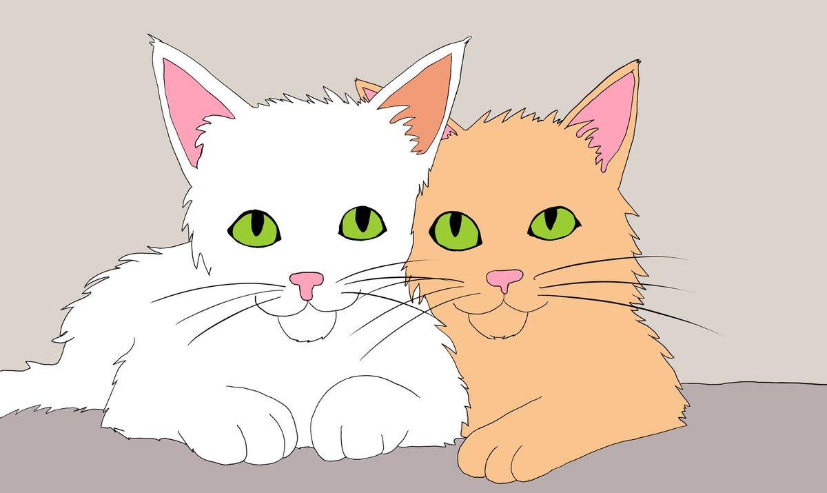 hermioink's tweet photo. #cats
#kittens
#animals
#Drawings
#Hermio https://t.co/WNodOkzqDA