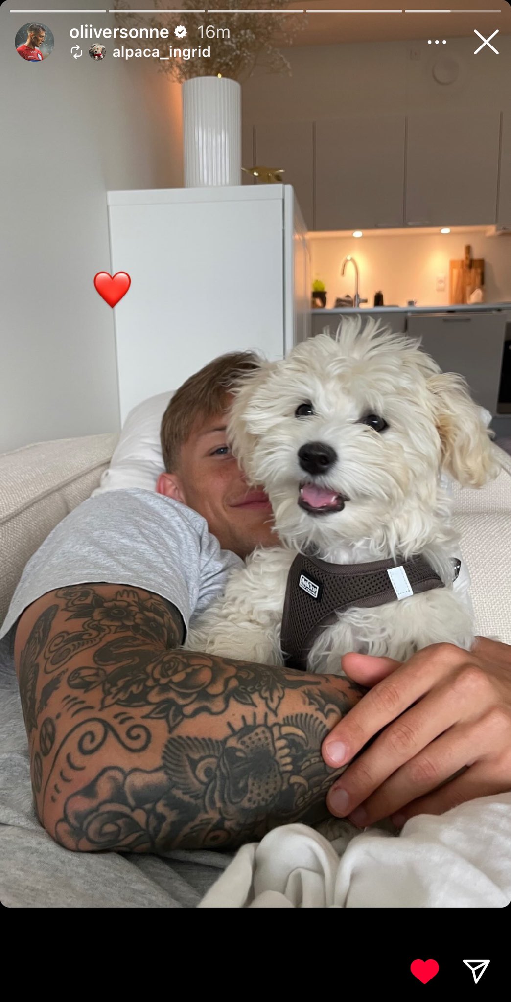 Oliver Sonner junto a su mascota Alpaca-Ingrid | Foto: Instagram