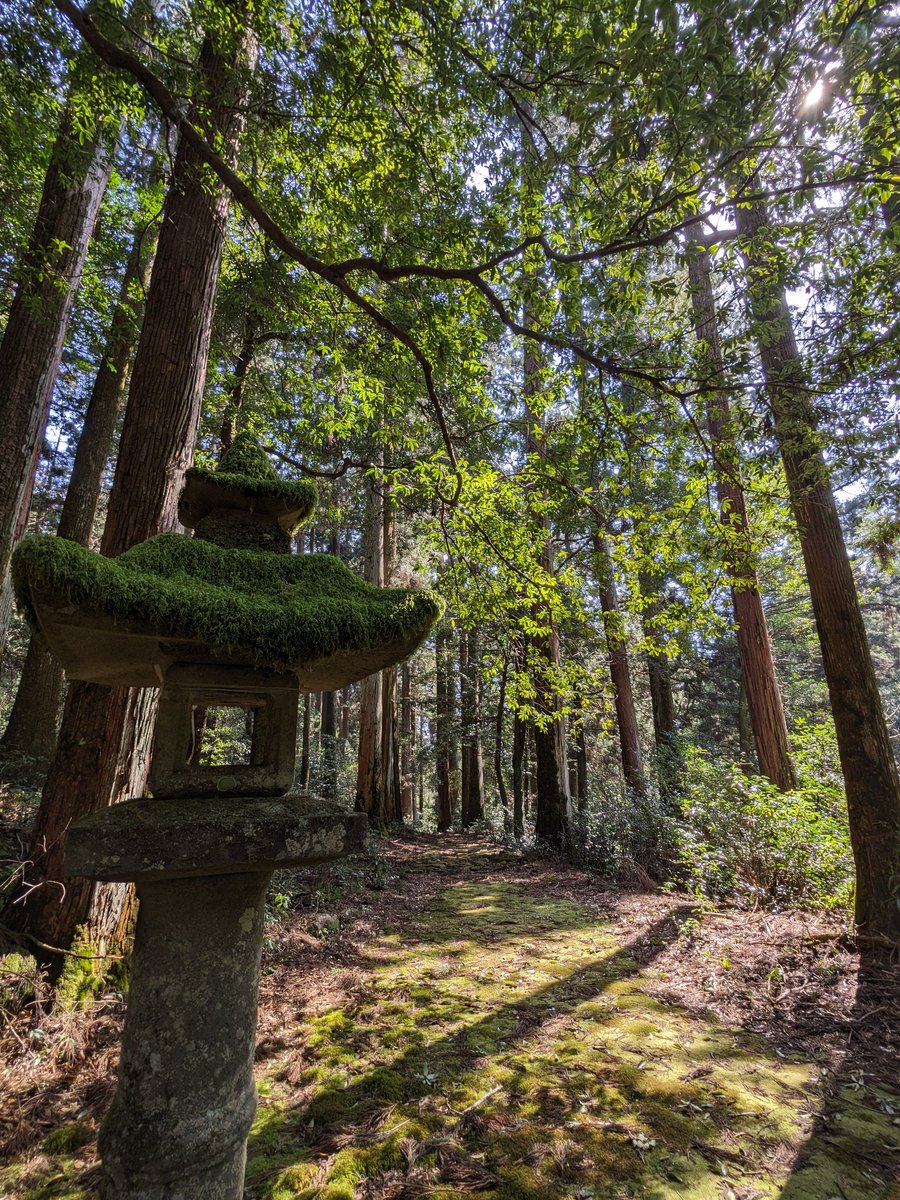 #瀧神社　#岐阜県　#神社　#自然　#風景　#青空　#癒し　#お出かけ日和　#ドライブ　#photography　#japan #scenery #view #beautifulview #perfectview #nature  #naturelovers #naturalbeauty #natureshots #japanphoto  #outdoors