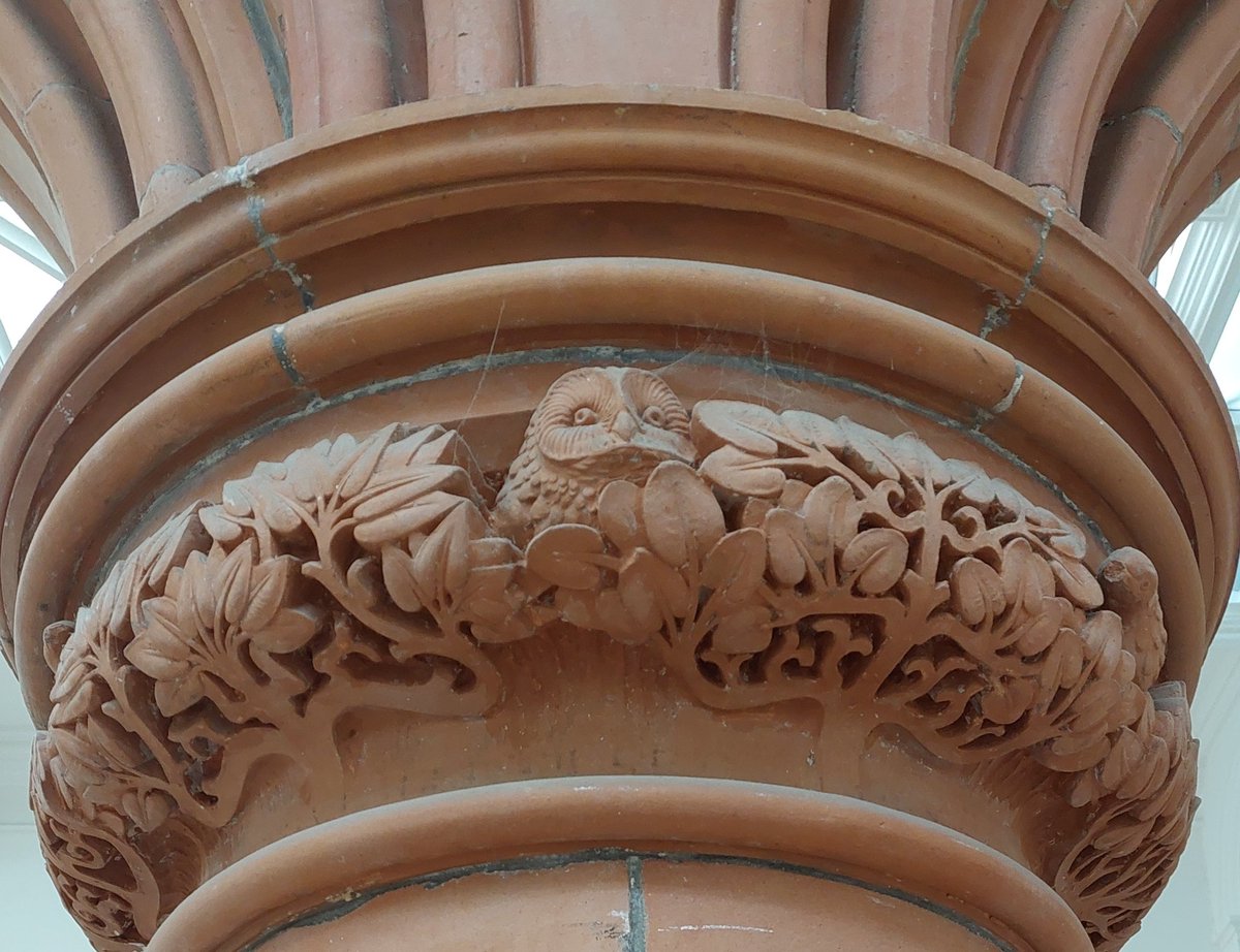 ##OwlsonWednesday #Terracotta Atop a column amidst the foliage sits the wise owl surveying the comings and goings of the Holden Gallery in the Grosvenor Building. Manchester. The home of the Manchester Art College, now part of MMU. Toowit toowoo!