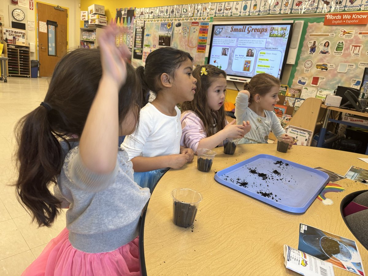 EMercadoAP's tweet photo. Pre-K scholars learning what plants need to grow; &amp; the plant life cycle. #multipleliteracies ⁦@ParkPrinc⁩ https://t.co/Ys5HjMd6lw