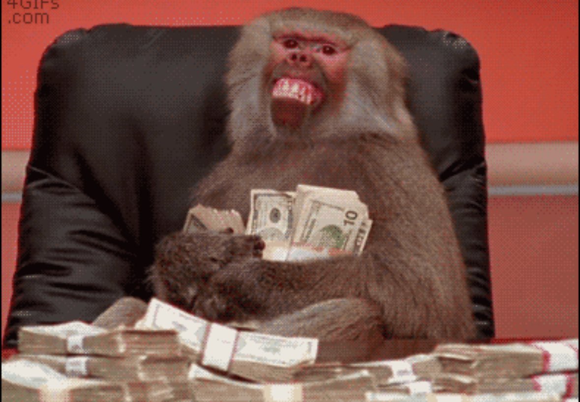 WolfVipp's tweet photo. 🚨 $500 PARA APOSTAR 🚨

El tio Winpot se puso guapo y les va a regalar $500 pesos para intentar el reto una vez más. Únicamente aplica para NUEVOS USARIOS. 
https://t.co/zhzk8w9eKK

Requisito: Dejar tu ❤️🔁 ACÁ. Y comentarme con tu ID para que se te active

Ej: Mi ID es 1238827 https://t.co/PpGQV3M7R7