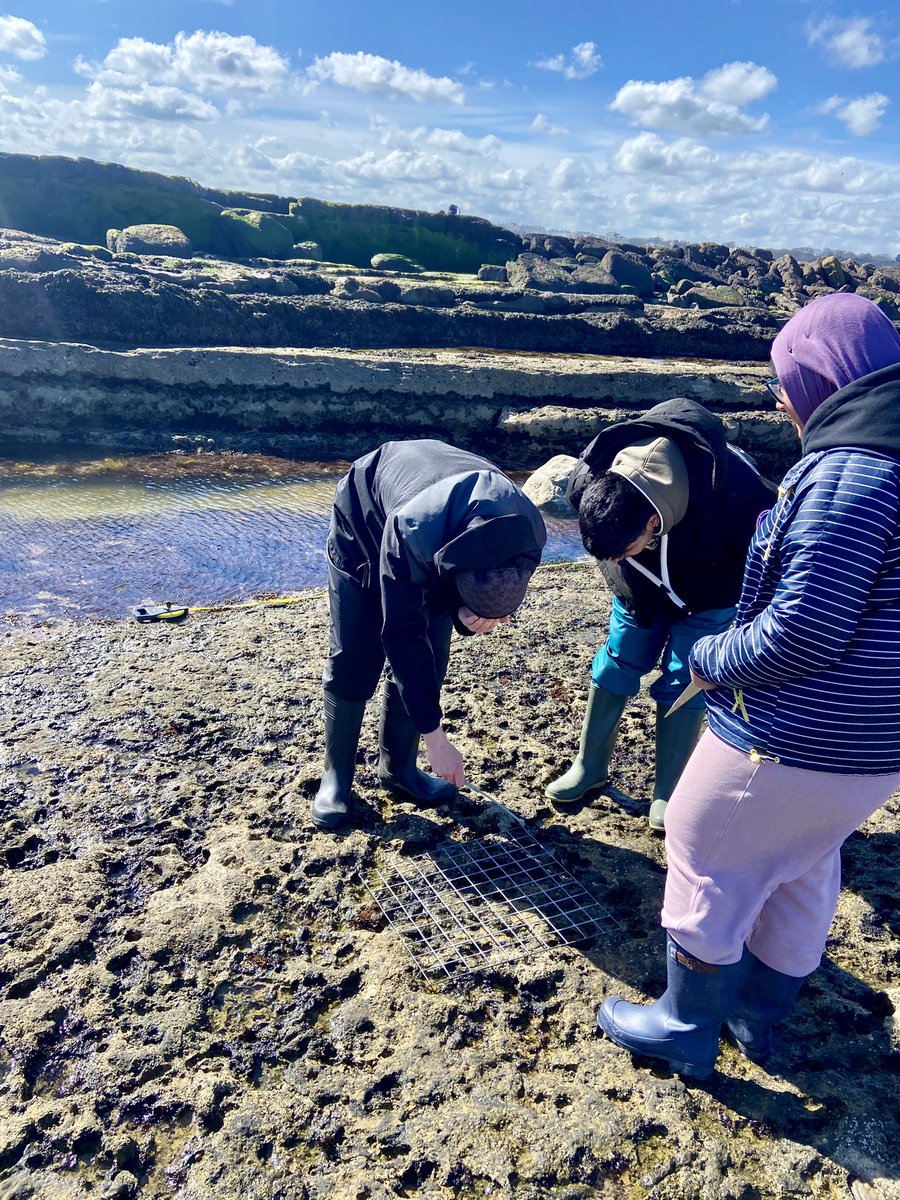 🌊 Day 3 of our A Level Bio & Geo field trip! ☀️ Today we're exploring Filey's rocky shore, using techniques & stats to analyse. Big thanks to @cranedalecentre for hosting & teaching, and to Mr. Chambers for organising! 🦀🌞 #FieldTrip #HandsOnLearning #ScienceEducation