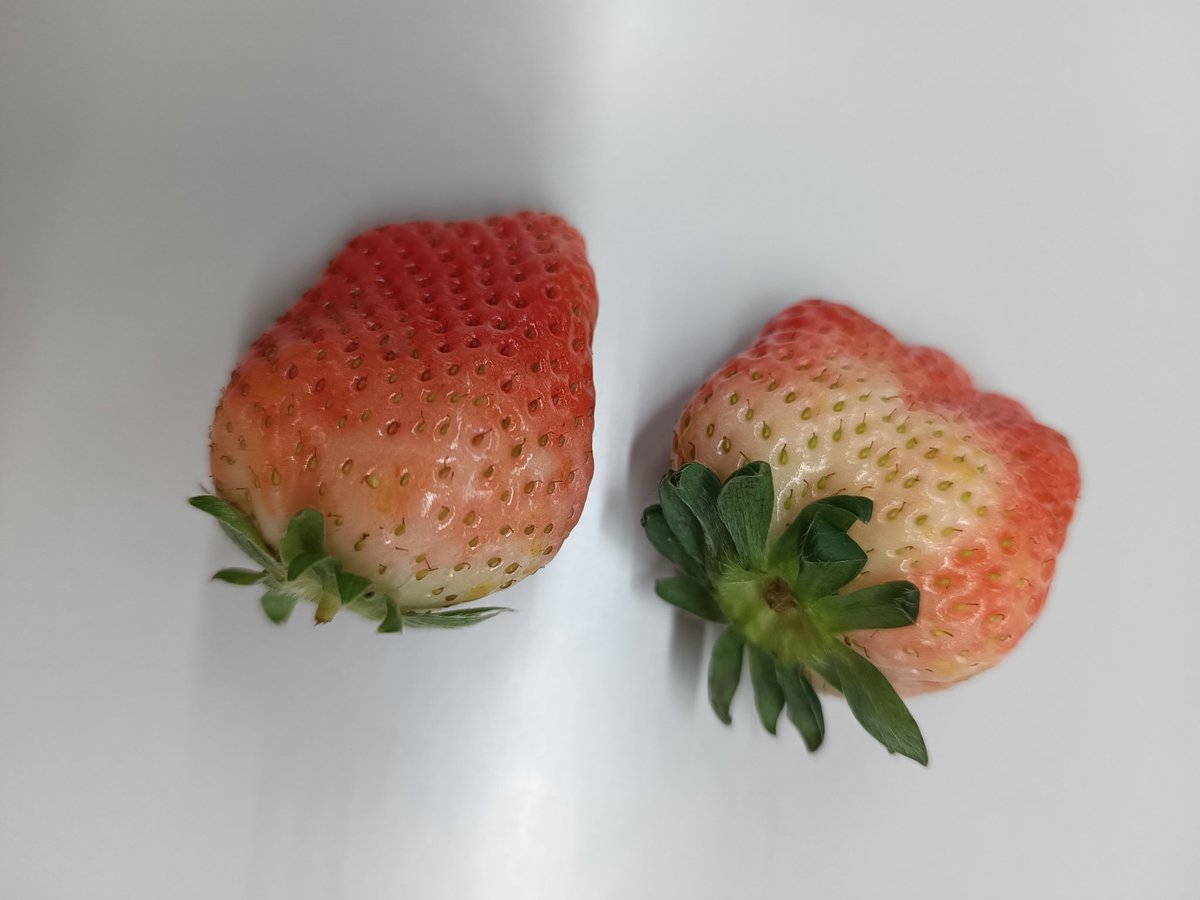 你是那样地美，美得像一首抒情诗