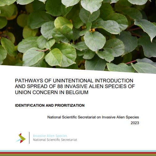 📣Prevention is key to tackle biological invasions 🚫 🔎But how can we decide which introduction pathways to tackle in priority?🤔 🌼To find it out, have a look at our latest report on prioritization of pathways of introduction and spread in Belgium 🇧🇪 ➡️zenodo.org/records/102550…