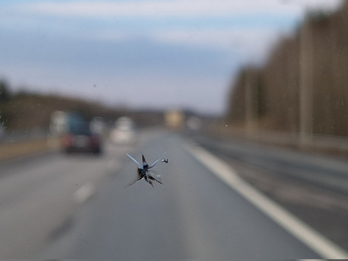 niilosmc's tweet photo. Taas on se aika et pitäs ohittaa kunnolla ja eikä viskoa niitä nastoja ja kiviä toisten tuulilasiin! Eli jos ohitettu vilkuttaa pitkiä valoja sinulle niin siihen on syy! #ohitus #ohittaa #moottoritie kiitos #hilti mainosautolle lahden motarilla 👎 https://t.co/YRqIdMev2E