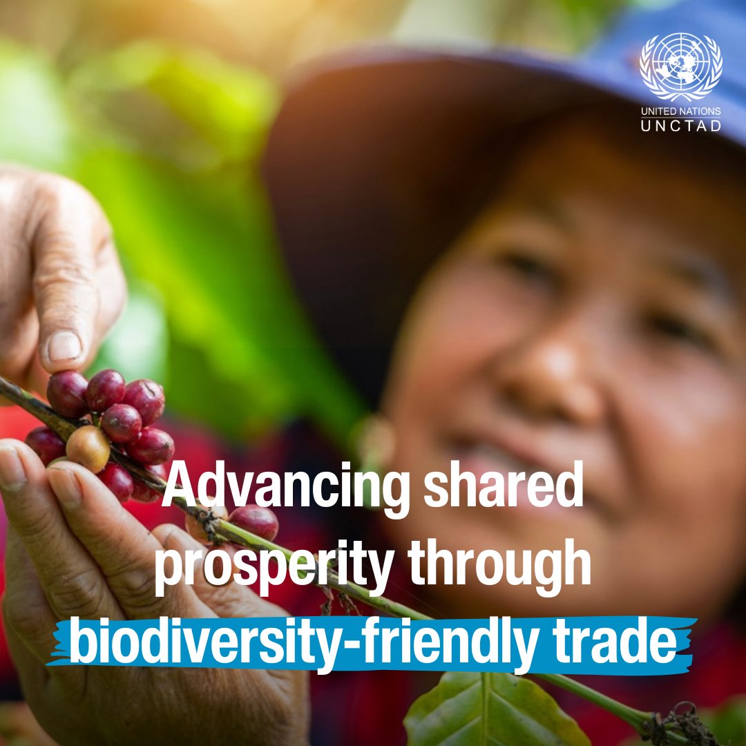 Advancing shared prosperity through biodiversity-friendly trade. With the right policy & governance approach, sustainable trade can flourish and, in turn, nourish the very biodiversity on which it relies. ow.ly/wh9I50R3bIj