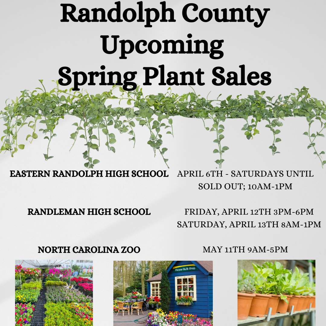 AshRanChamber's tweet photo. What's Up Wednesday?! 🥀🌻Local Spring Plant Sales are coming up soon. Tune into the individual pages of each location for more info on what will be for sale, pricing, and more! What's on your plant wish list? ⬇️ https://t.co/l6Eyq2bUp9