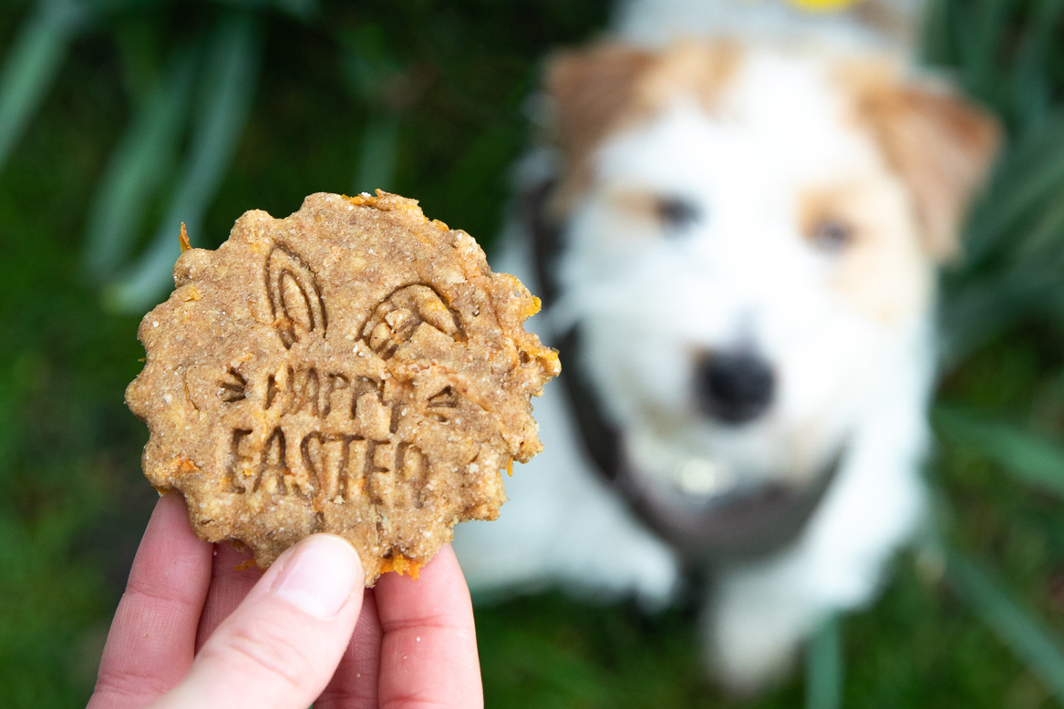 With Easter weekend this weekend, why not treat your dog to one of our homemade dog treats recipes? Find out more at thekennelclub.org.uk/easterdogtreats