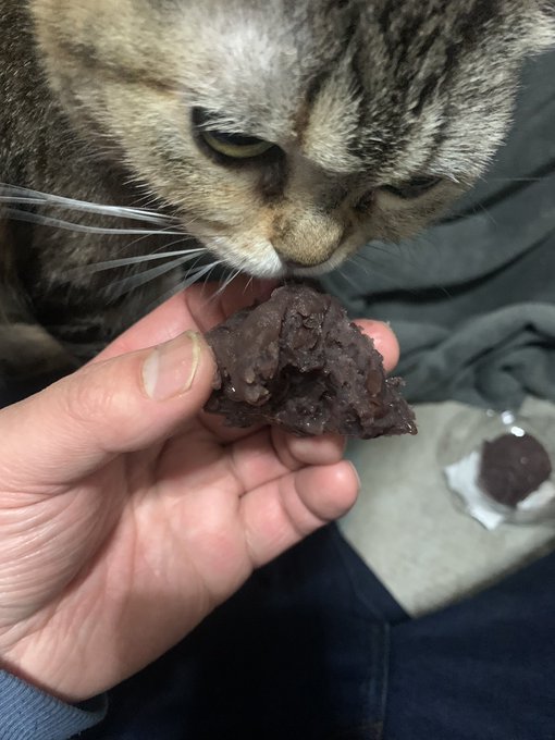 おはぎと思って買ってきたら餡子の塊だった( 'Д` )( ΦωΦ )✨ 