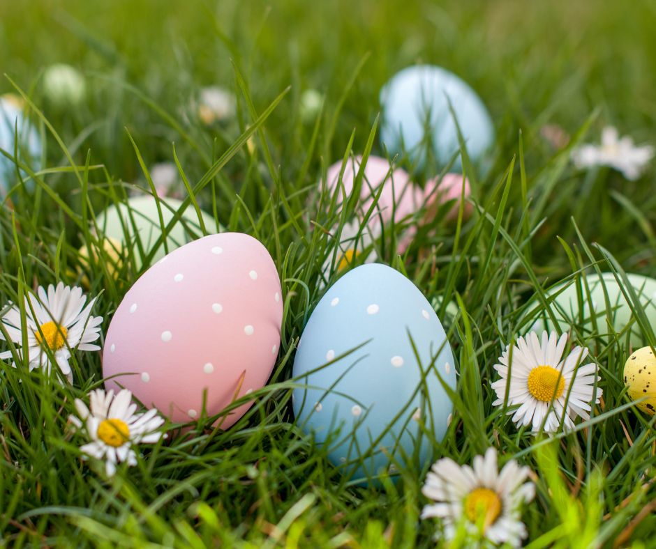 Looking for local activities for the family this Easter? From Easter egg hunts to crafts there's lots going on for the whole family to enjoy, find out more in our round up🐇 🐣 orlo.uk/GOMXw