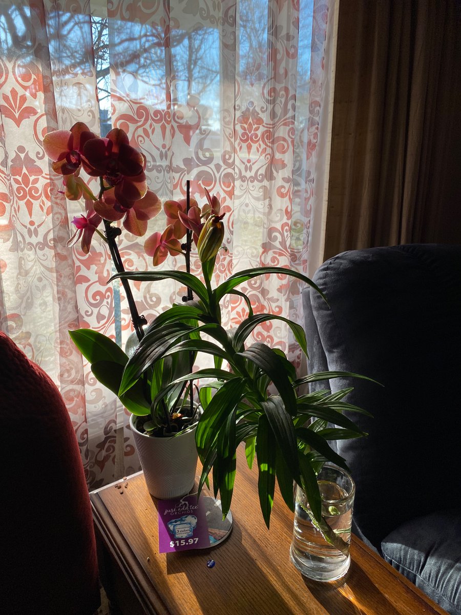 cindylouhut1's tweet image. #FetchHappy