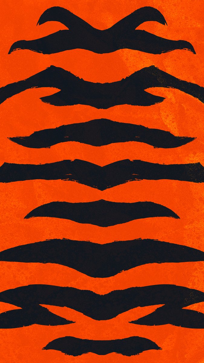 Bengals tweet picture