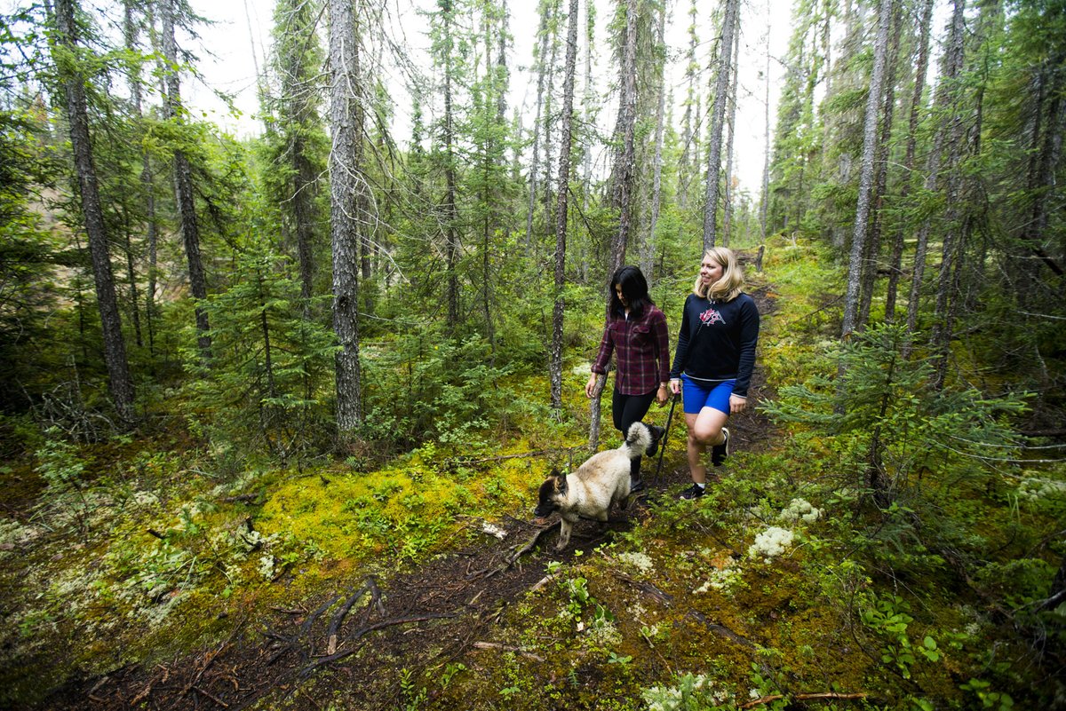 To ensure we continue to provide quality experiences our visitors enjoy, park use fees are increasing. gov.nt.ca/en/newsroom/nw…

Pour continuer d’offrir des expériences de qualité à nos visiteurs, les tarifs d’utilisation des parcs augmentent. shorturl.at/kpJQY