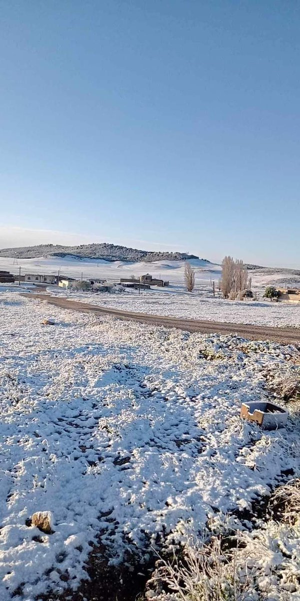 scorpionthedes1's tweet photo. الطريق الرابط بين عين فكرون و أم البواقي صباح اليوم ♥️❄️ https://t.co/C7nan515OI
