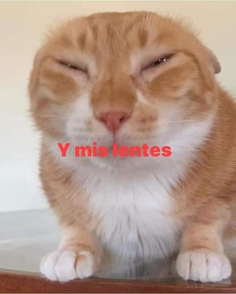 Devuelvan hijos de su maíz!!!!!😼🐾