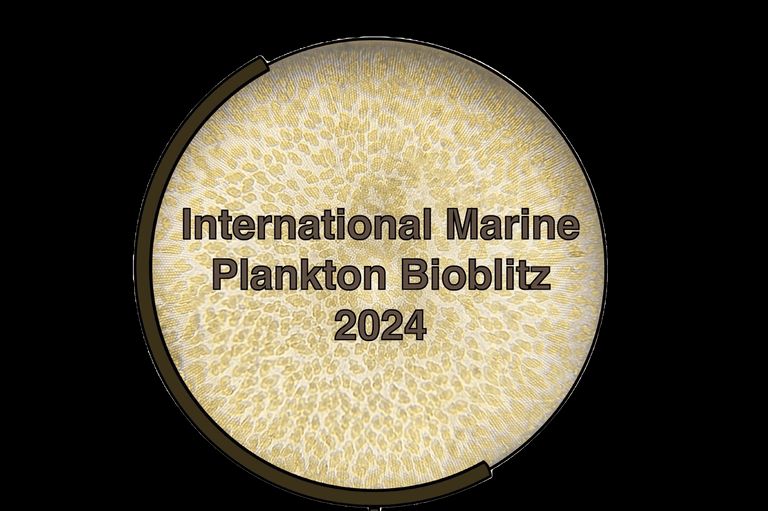 Just a few days until the International Marine Plankton Project Bioblitz 2024 is held! A #CitizenScience project with results being recorded on @inaturalist #iNaturalistUK @NBNTrust Details of how to join in can be found below 👇 buff.ly/49XKBYu