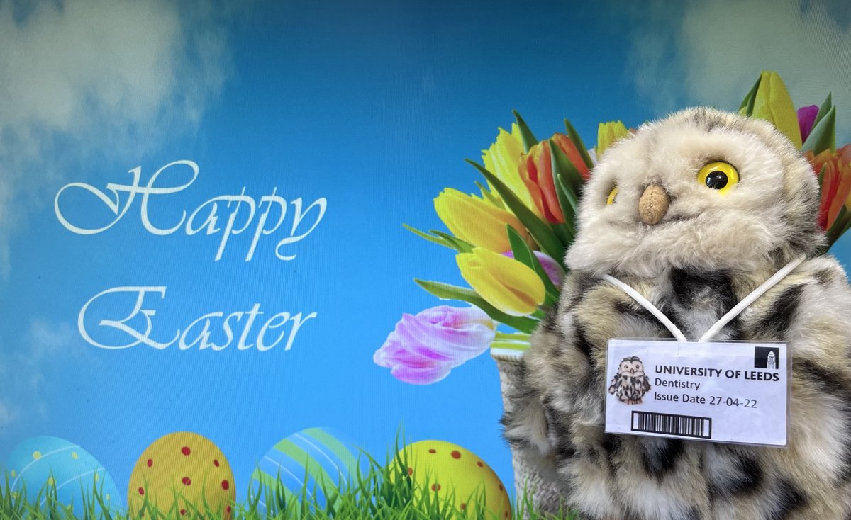 Happy Easter 🐣 Holiday wishes from Otis and the Team.