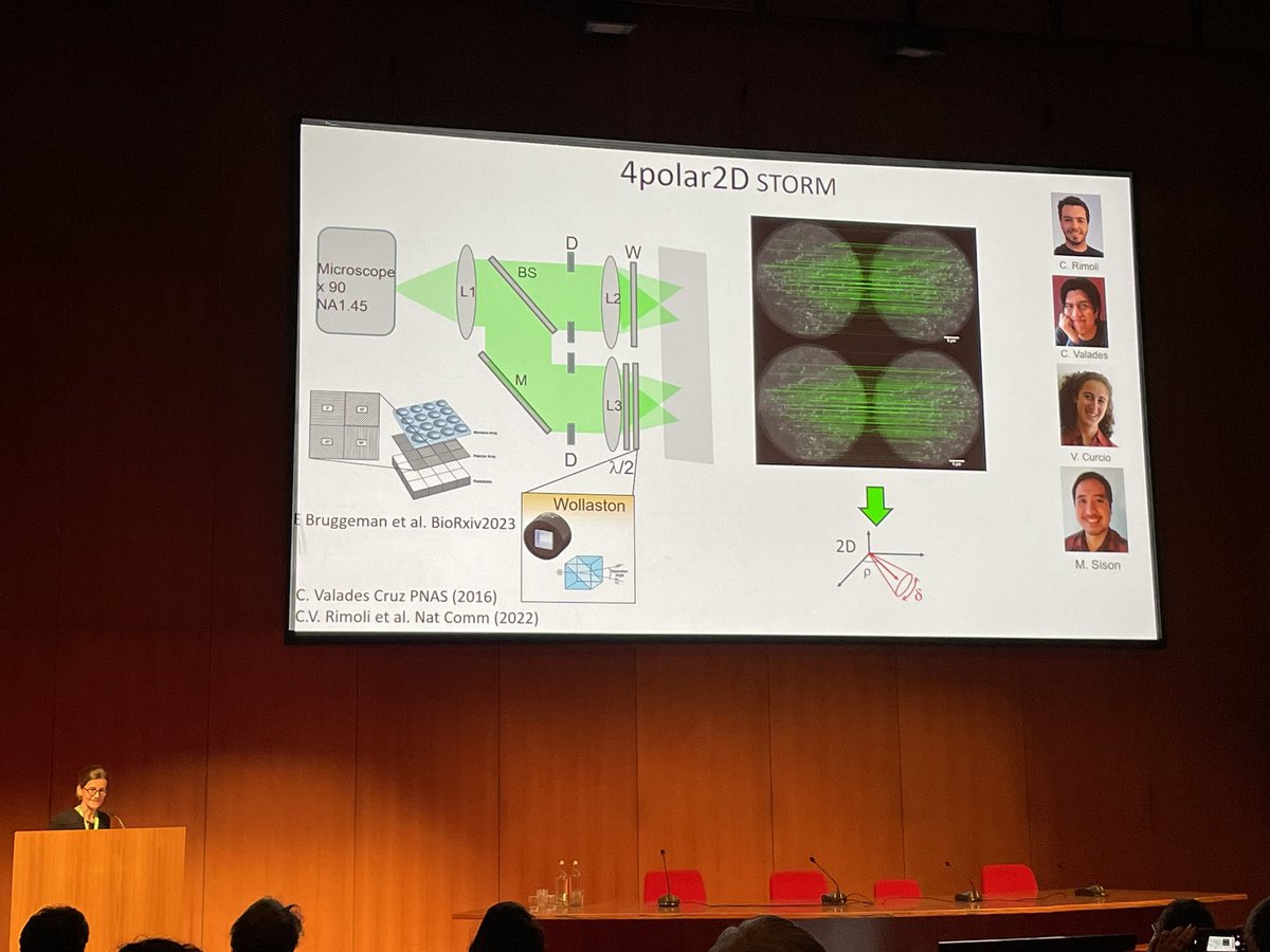 S_LevequeFort's tweet photo. Polarization microscopy for 3D imaging of biomolecular complex, by Sophie Brasselet from @InstitutFresnel #FOM2024, so smart and elegant approach ! 😍 https://t.co/E0ua2U6Vv4