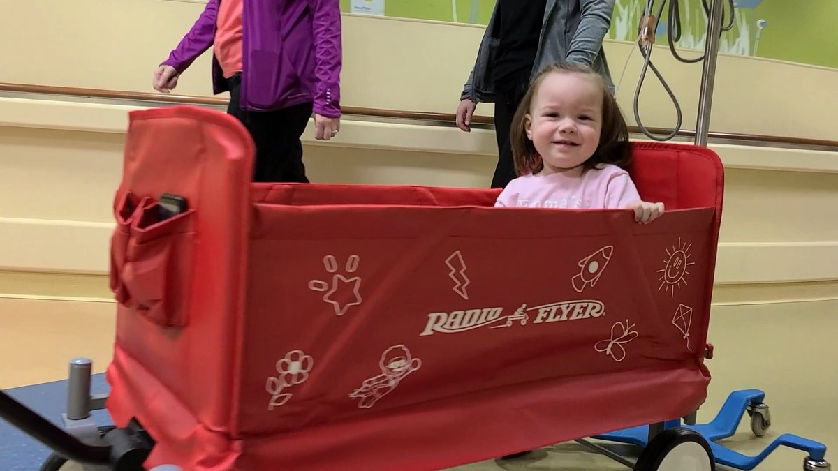 starlightUS tweet media